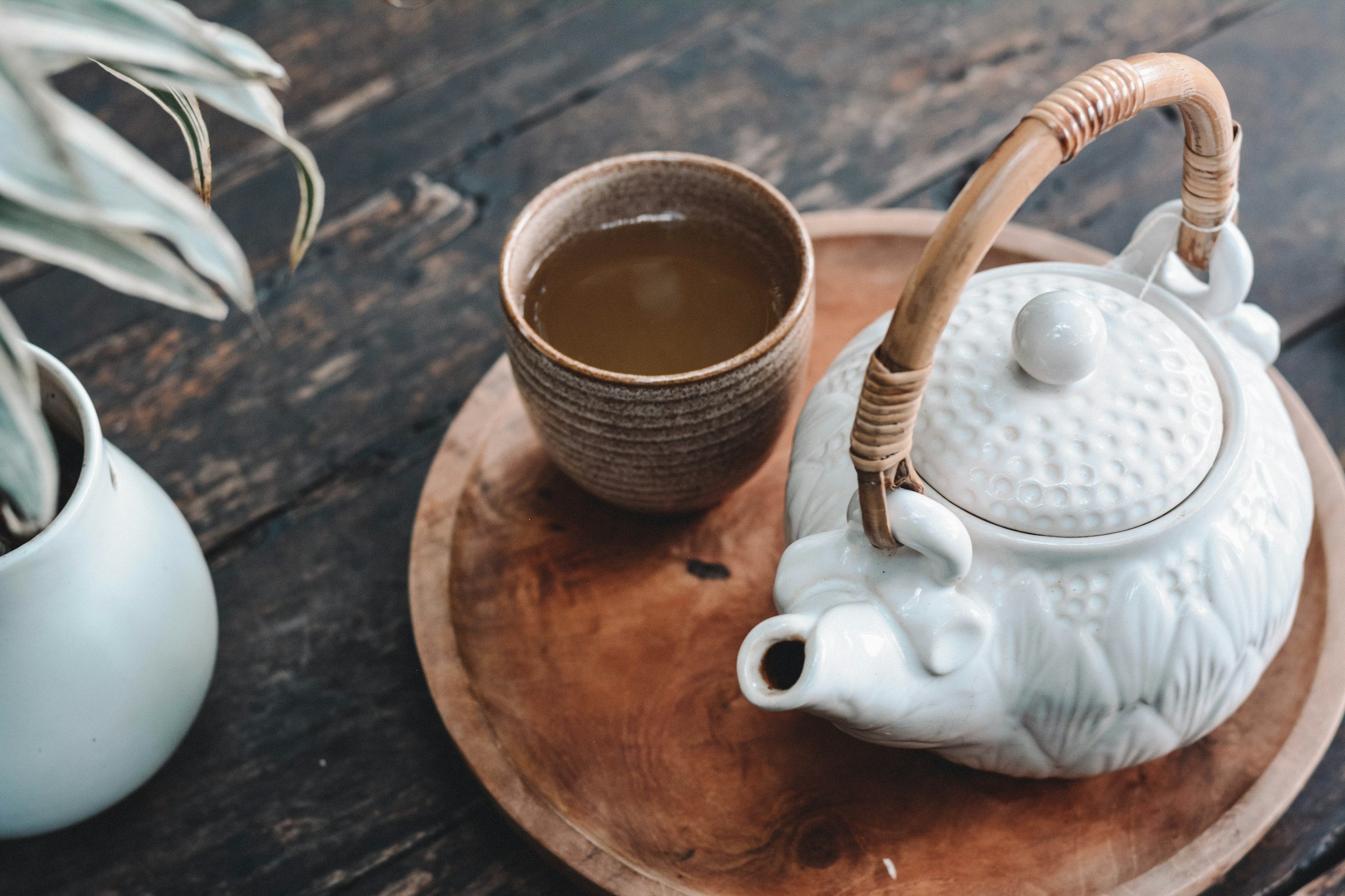 云南高山雾缭绕古树茶园